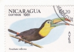 Stamps Nicaragua -  AVES- TUCÁN