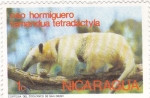 Sellos de America - Nicaragua -  OSO  HORMIGUERO