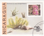 Stamps : America : Nicaragua :  P L A N T A S 