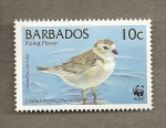 Stamps : America : Barbados :  Aves