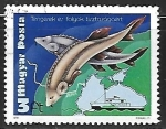 Stamps Hungary -  European Sturgeon (Huso huso)