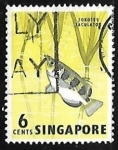 Stamps Singapore -  Toxotes jaculatrix