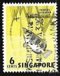 Stamps : Asia : Singapore :  Toxotes jaculatrix