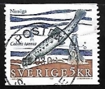 Stamps Sweden -  Cobitis taenia