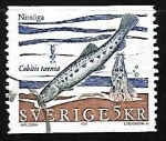 Sellos de Europa - Suecia -  Cobitis taenia