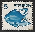 Sellos de Asia - India -  Pescado azul
