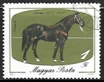 Sellos de Europa - Hungr�a -  Equus ferus caballus