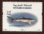 Stamps Morocco -  Prionase Glauca