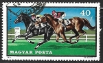 Stamps Hungary -  Caballos al galopo