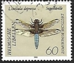 Stamps Germany -  Libellula depressa