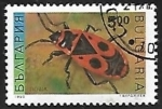 Stamps Bulgaria -  Pyrrhocoris apterus