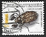 Sellos de Europa - Checoslovaquia -  Polyphylla fullo