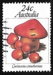 Stamps Australia -  Setas