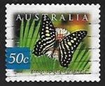 Sellos de Oceania - Australia -  Mariposa