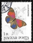 Sellos de Europa - Hungr�a -  Mariposa