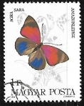 Stamps : Europe : Hungary :  Mariposa