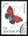 Stamps Hungary -  Mariposa