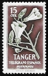 Stamps Morocco -  Tánger - Telégrafo español, Huérfanos, Flor