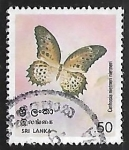 Stamps Sri Lanka -  Mariposa