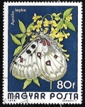 Stamps : Europe : Hungary :  Mariposa