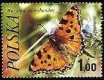 Stamps Poland -  Mariposa