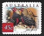 Sellos de Oceania - Australia -  Aves