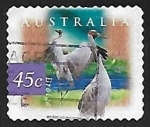 Stamps Australia -  Grullas