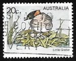 Sellos de Oceania - Australia -  Little Grebe