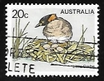 Stamps Australia -  Little Grebe