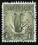 Stamps Australia -  Superb Lyrebird