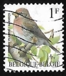 Stamps Belgium -  Common Redpoll