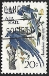 Stamps United States -  Calocitta colliei