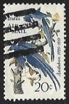 Stamps United States -  Calocitta colliei