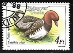 Stamps Hungary -  Patos