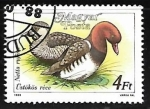 Sellos de Europa - Hungra -  Patos