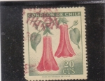 Stamps Chile -  Flores-