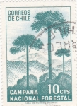 Sellos de America - Chile -  Campaña nacional forestal