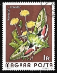 Sellos de Europa - Hungr�a -  mariposa