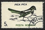 Stamps : Europe : Romania :  Pica Pica