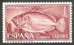 Stamps Morocco -  Sahara - 224 - Pez de San Pedro