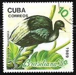 Stamps Cuba -  Brasiliana ’89