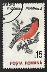 Stamps Romania -  Pyrrhula pyrrhula