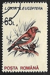 Stamps Romania -  Loxia leucoptera