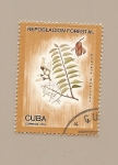 Stamps Cuba -  Repoblación Forestal  - árboles - Cedro Mexicano