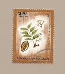 Stamps : America : Cuba :  Repoblación Forestal  -árboles-  Caoba de las Indias occidentales