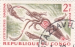 Stamps : Africa : Republic_of_the_Congo :  Calamar Gigante
