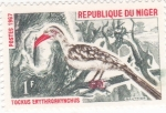 Stamps Niger -  ave-Tockus Erythrorhynchus