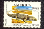 Stamps Uruguay -  YACARE