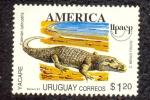 Sellos de America - Uruguay -  YACARE