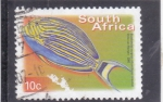 Stamps South Africa -  pez tropical